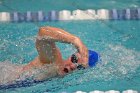 Swimming & Diving vs Babson  Swimming & Diving vs Babson College. - Photo by Keith Nordstrom : Wheaton, Swimming